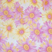 Pink and Yellow Flower