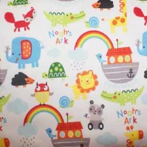 Noah's Ark